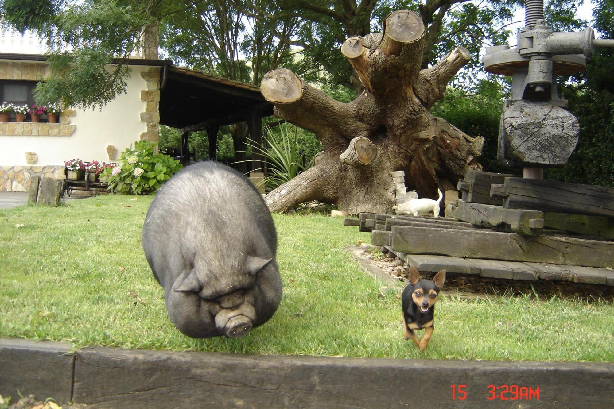 Casa Rural Jesuskoa スマイア エクステリア 写真